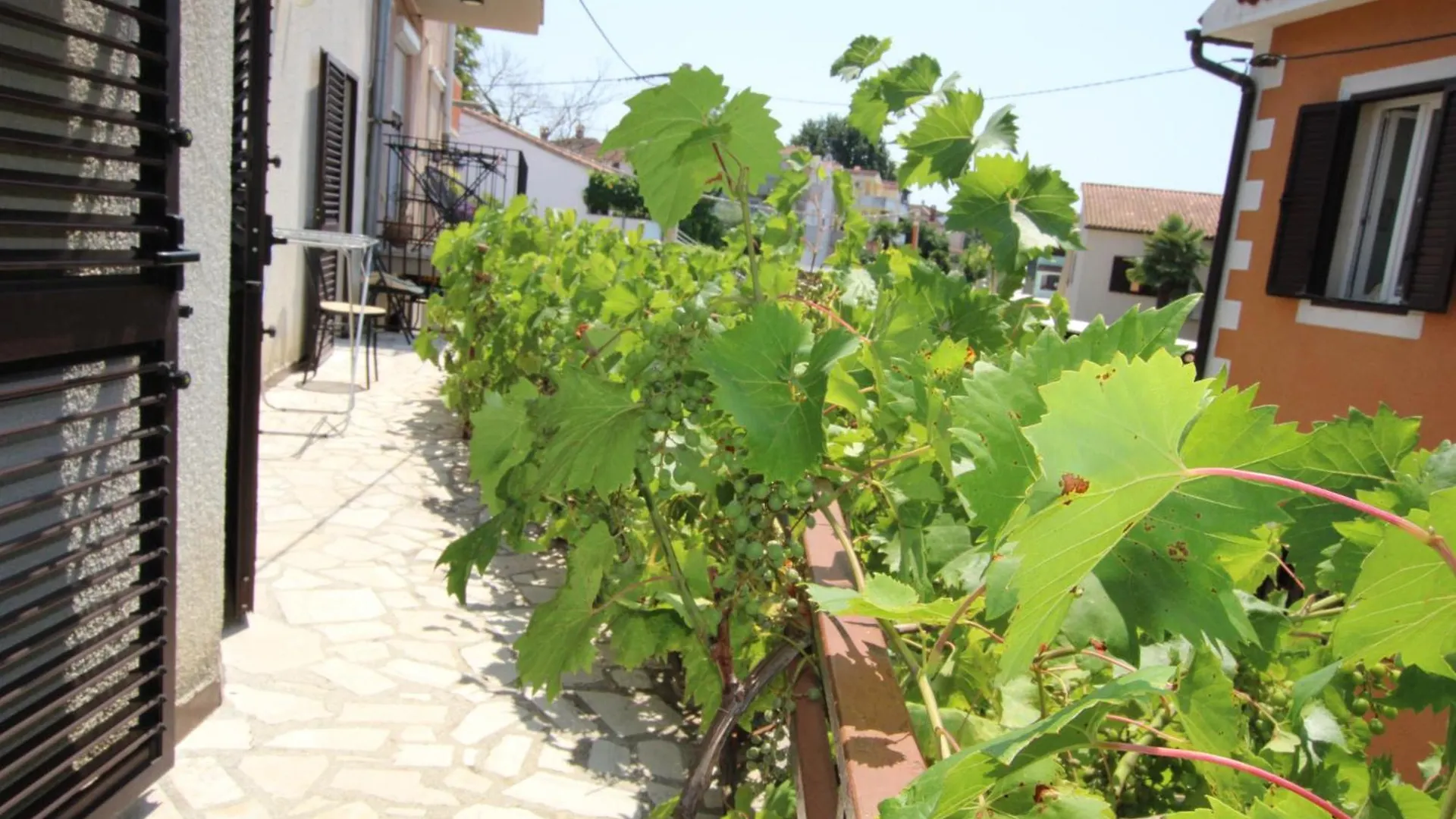 Apartments Sunny Flower 0*, Funtana Chorvatsko